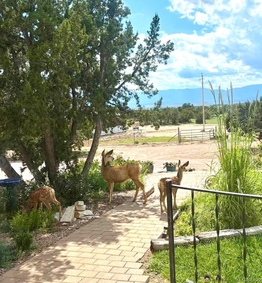 MLS Image #38 for 1000  s street,penrose, Colorado