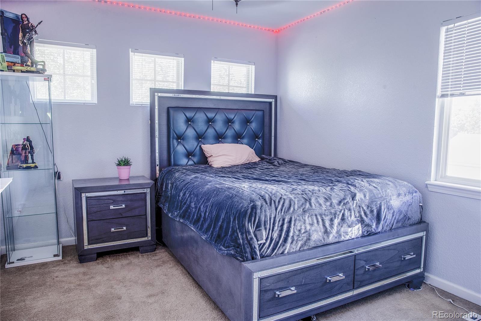 MLS Image #26 for 16047 e 97th place,commerce city, Colorado