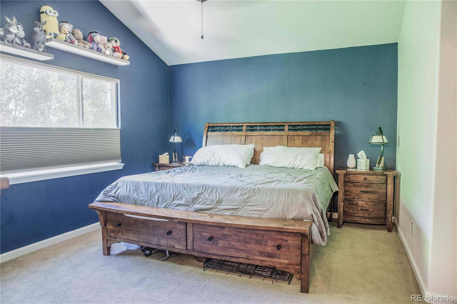 MLS Image #7 for 16047 e 97th place,commerce city, Colorado