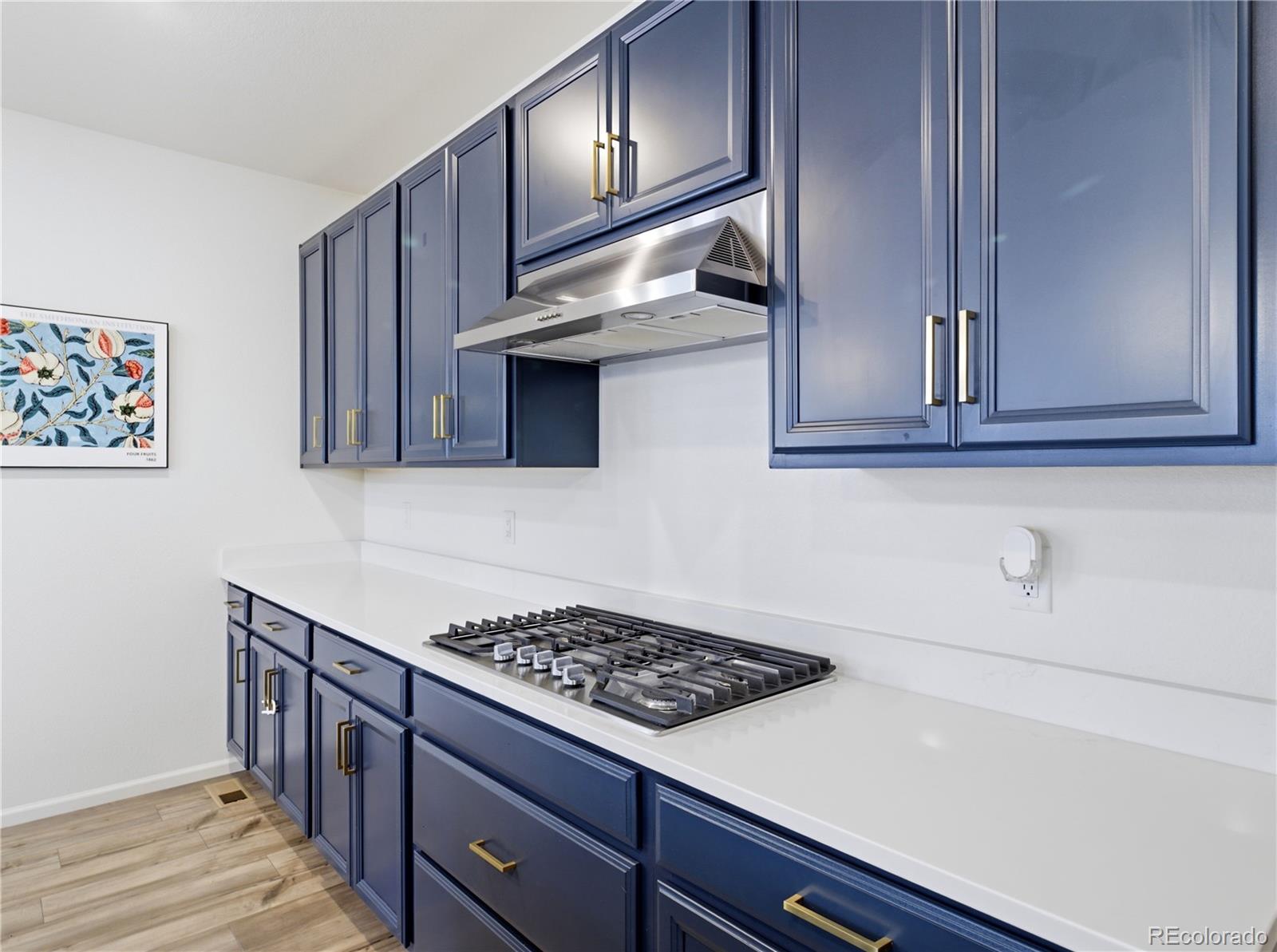 MLS Image #16 for 33  felicity loop,castle rock, Colorado