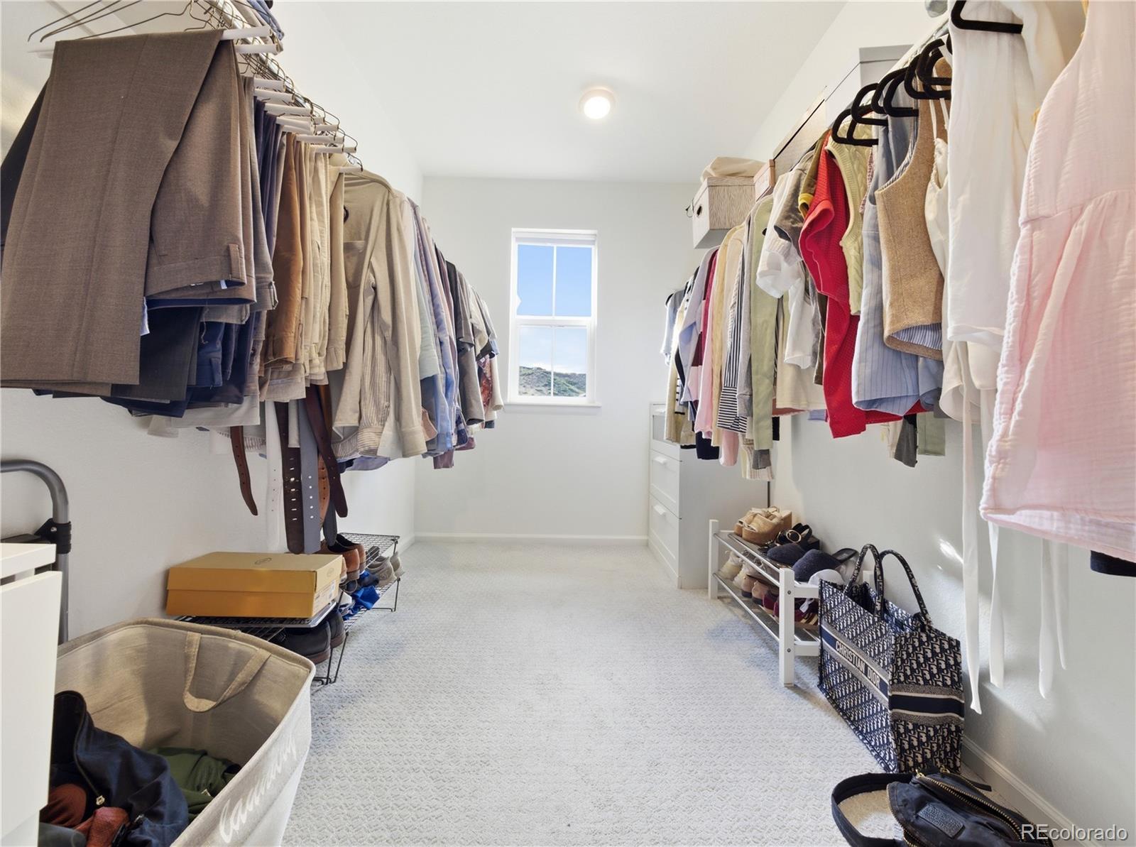MLS Image #29 for 33  felicity loop,castle rock, Colorado