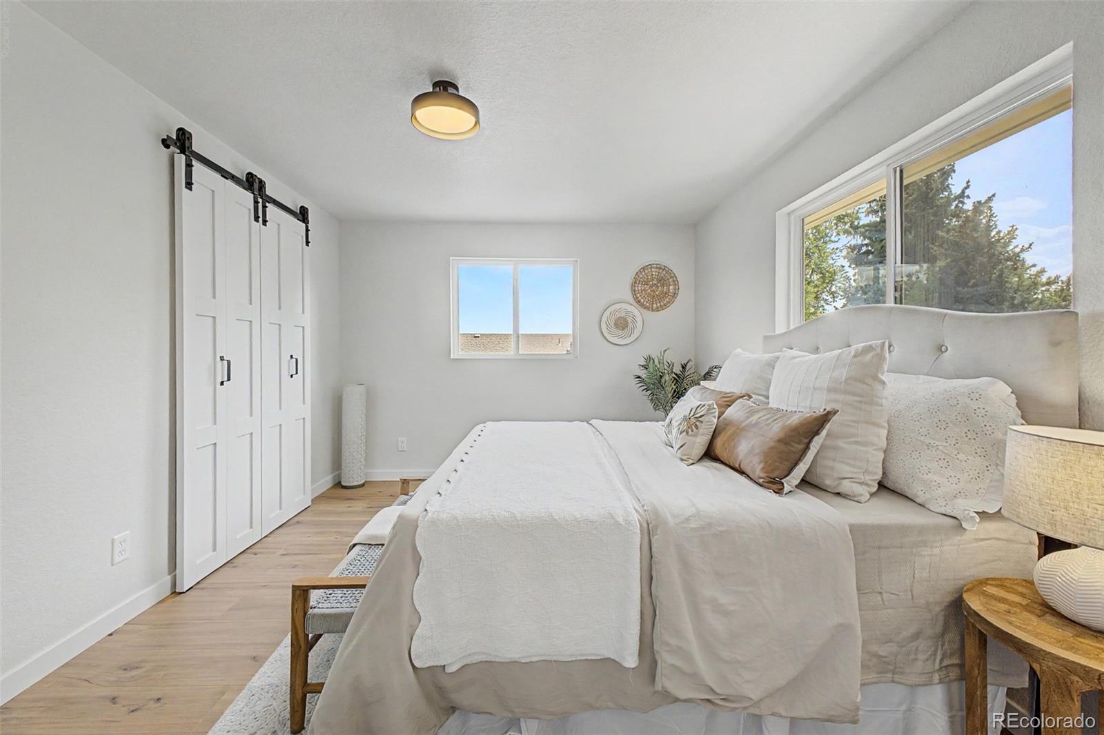 MLS Image #13 for 845 s moore street,denver, Colorado