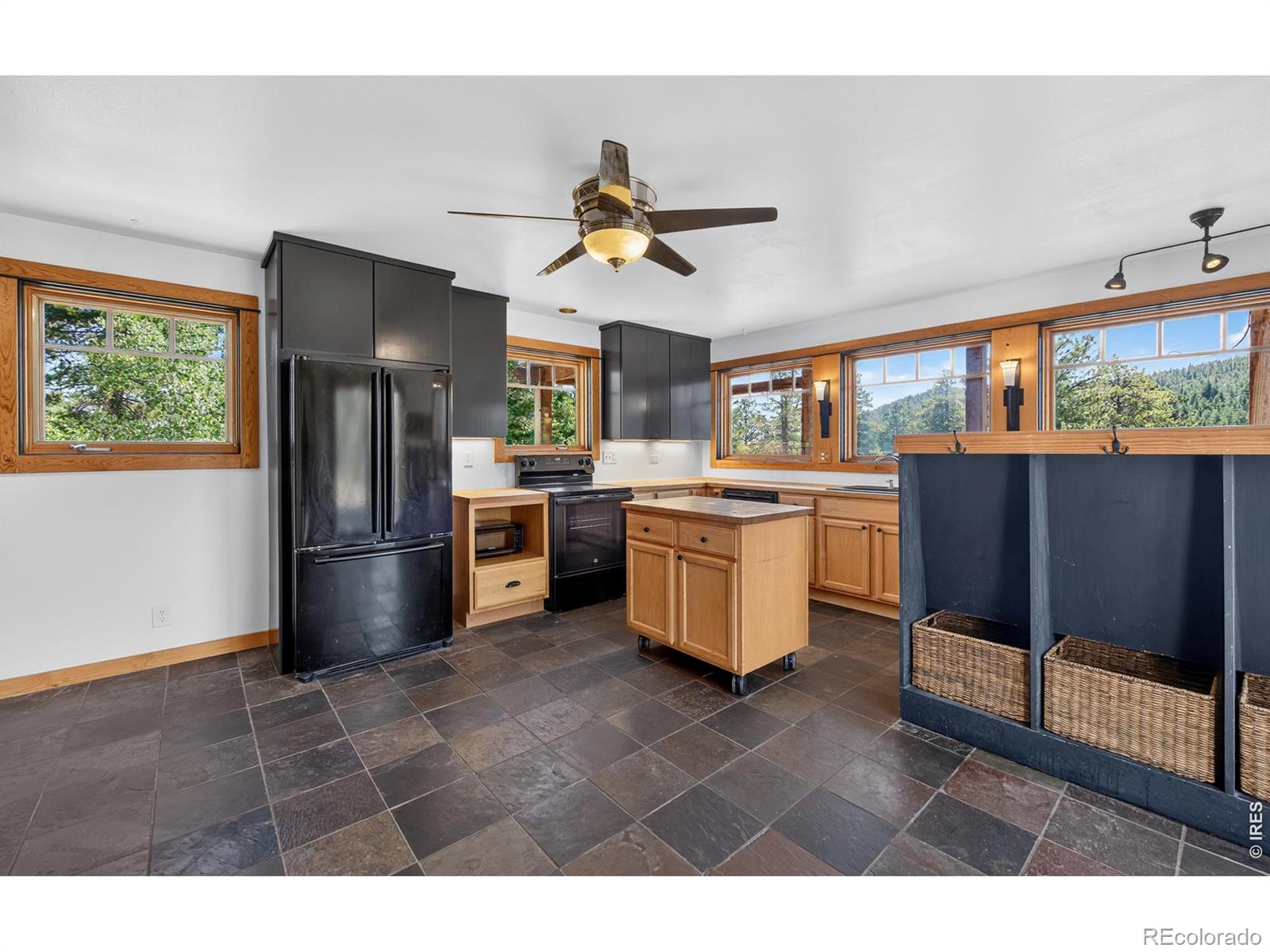 MLS Image #12 for 1820  lazy z road,nederland, Colorado