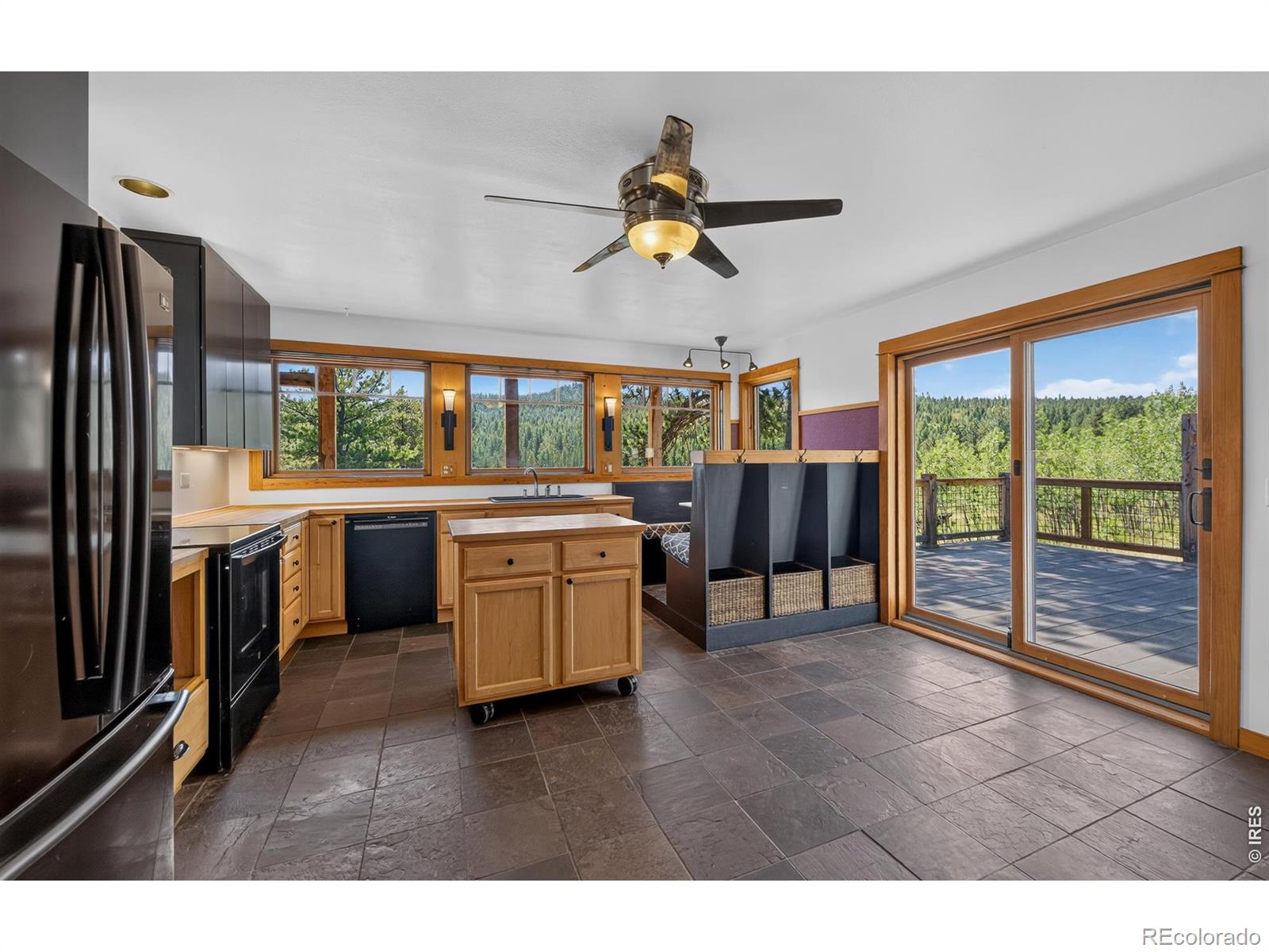 MLS Image #13 for 1820  lazy z road,nederland, Colorado