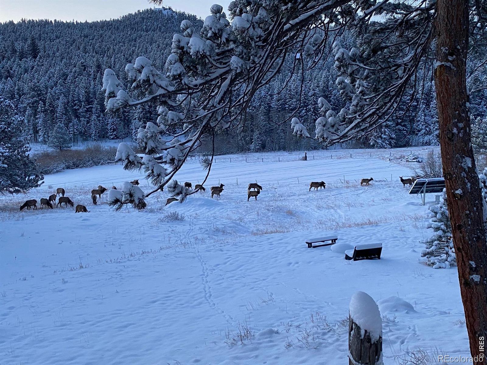 MLS Image #29 for 1820  lazy z road,nederland, Colorado