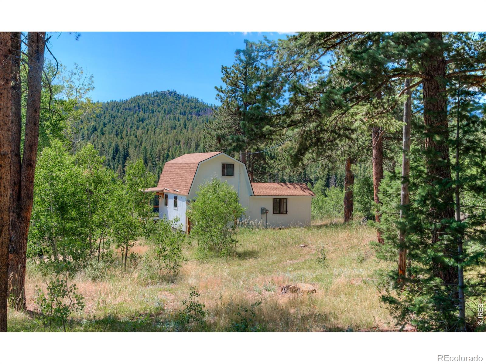 MLS Image #37 for 1820  lazy z road,nederland, Colorado
