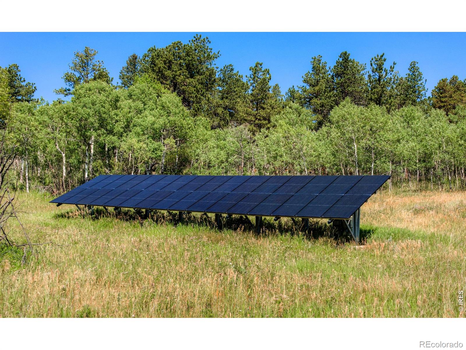 MLS Image #6 for 1820  lazy z road,nederland, Colorado