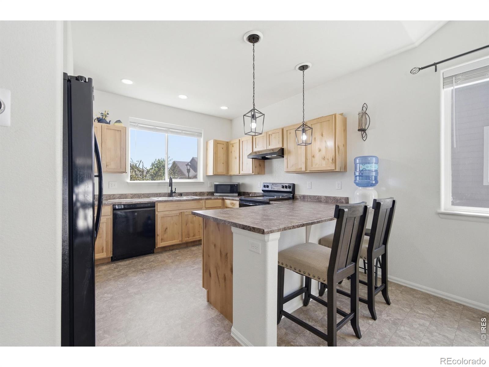 MLS Image #5 for 1106  ibex drive,severance, Colorado