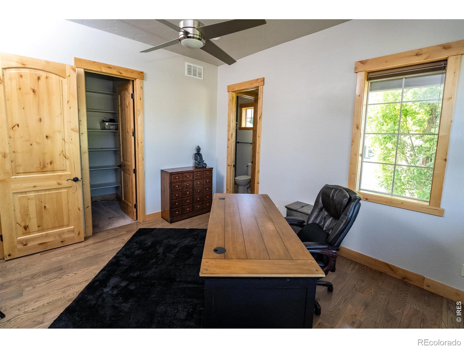 MLS Image #13 for 3969  cashen lane,timnath, Colorado