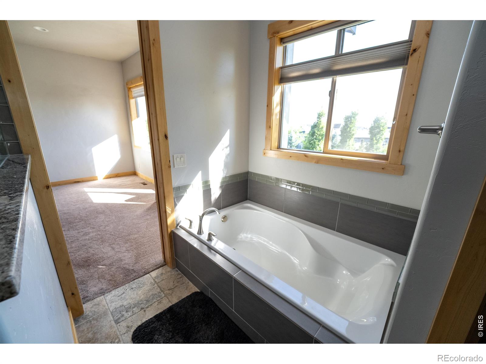 MLS Image #16 for 3969  cashen lane,timnath, Colorado