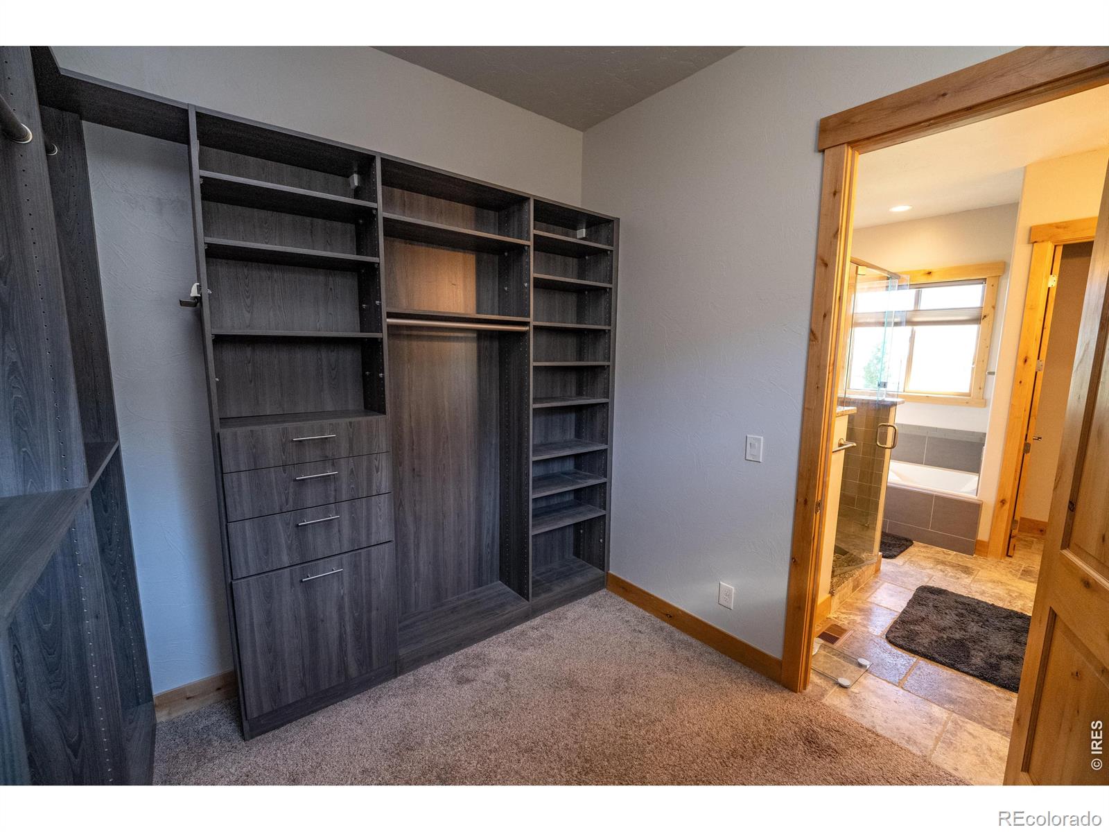 MLS Image #20 for 3969  cashen lane,timnath, Colorado