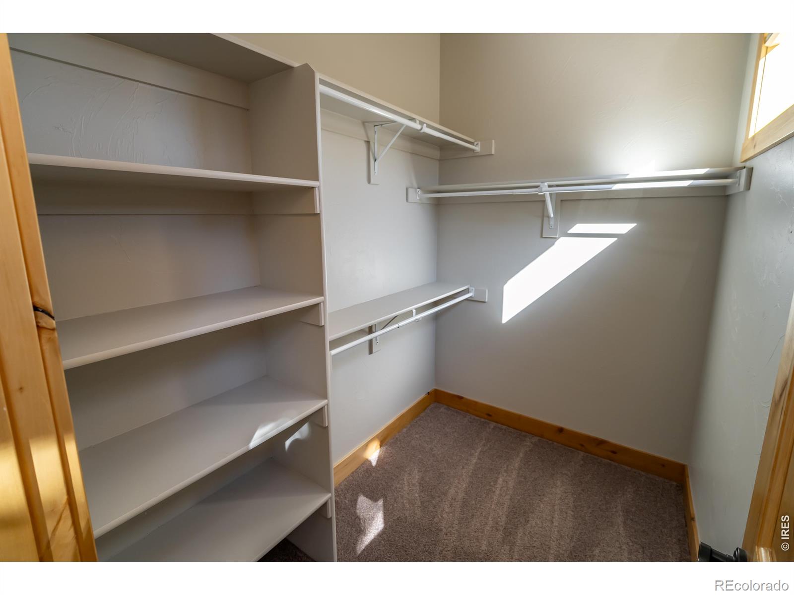 MLS Image #33 for 3969  cashen lane,timnath, Colorado