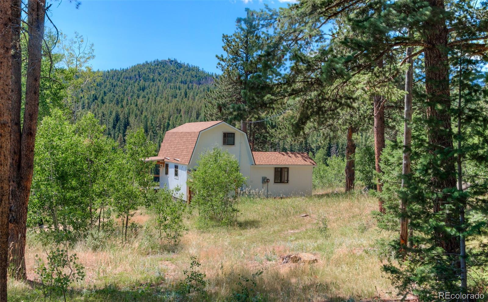 MLS Image #16 for 1820  lazy z road,nederland, Colorado
