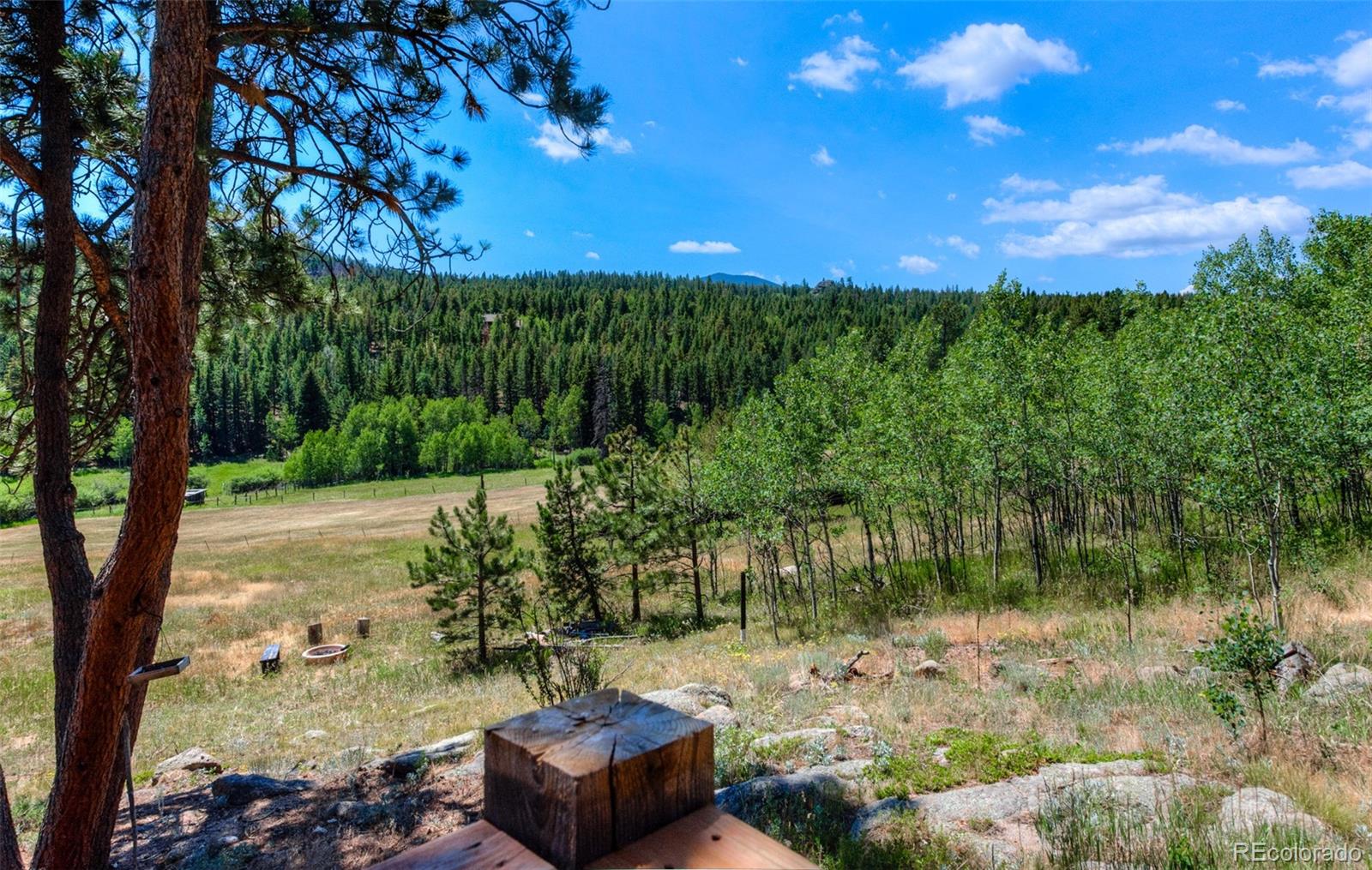 MLS Image #23 for 1820  lazy z road,nederland, Colorado