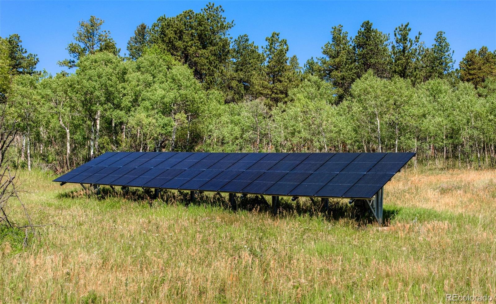 MLS Image #6 for 1820  lazy z road,nederland, Colorado