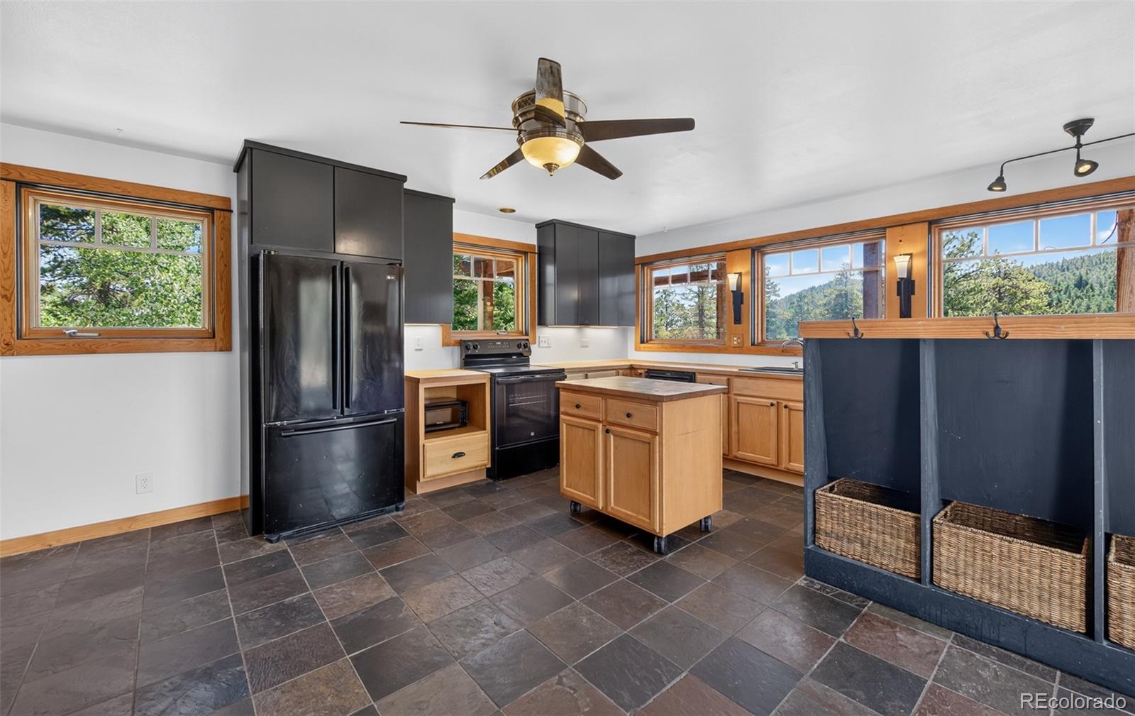 MLS Image #8 for 1820  lazy z road,nederland, Colorado