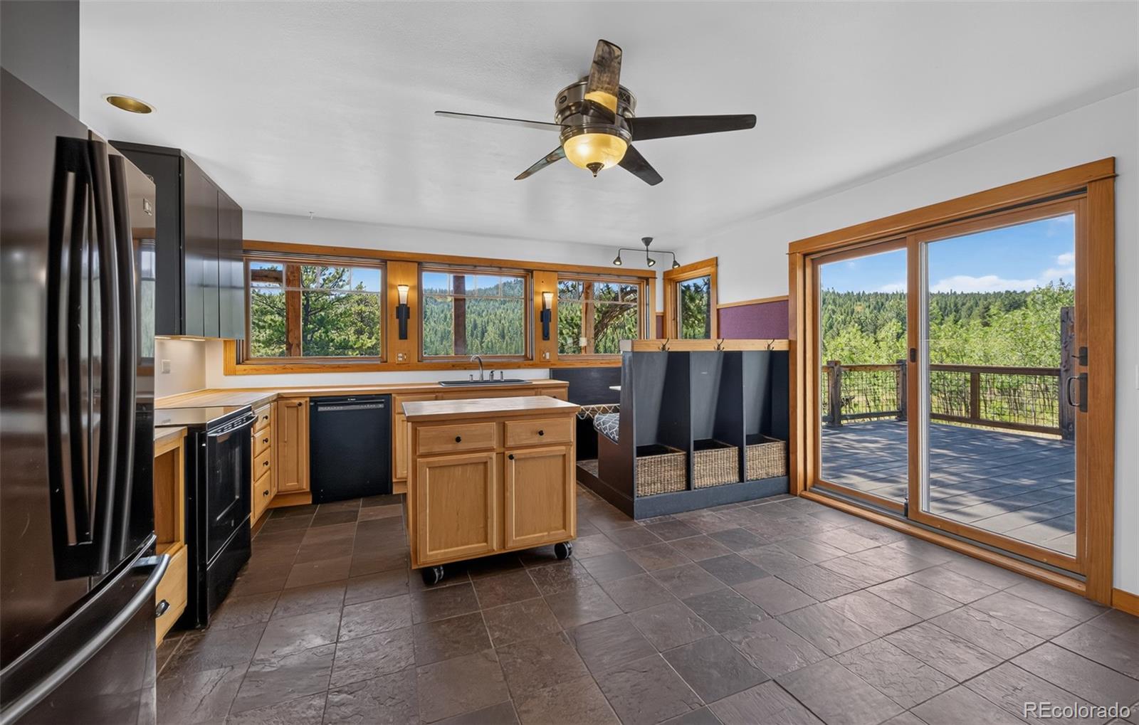 MLS Image #9 for 1820  lazy z road,nederland, Colorado