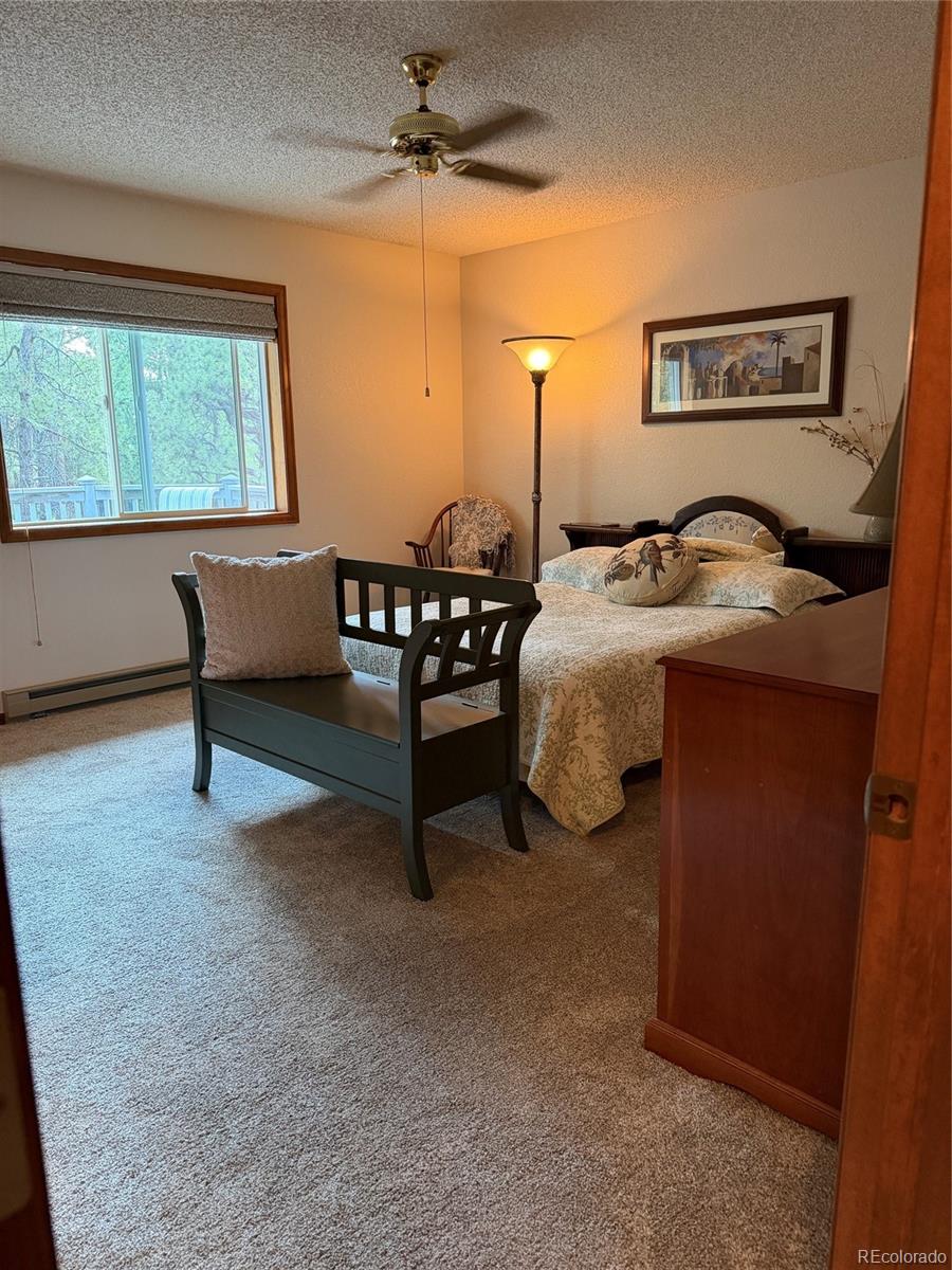 MLS Image #21 for 17730  grama ridge,colorado springs, Colorado