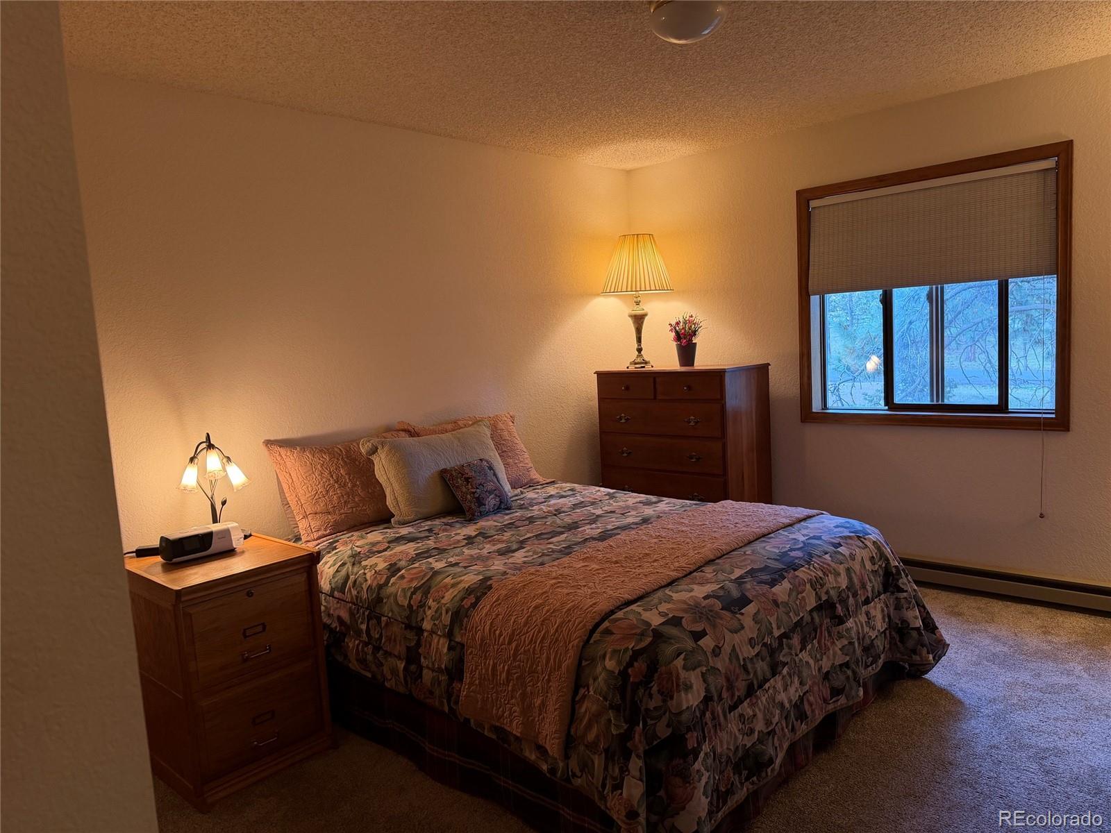 MLS Image #23 for 17730  grama ridge,colorado springs, Colorado