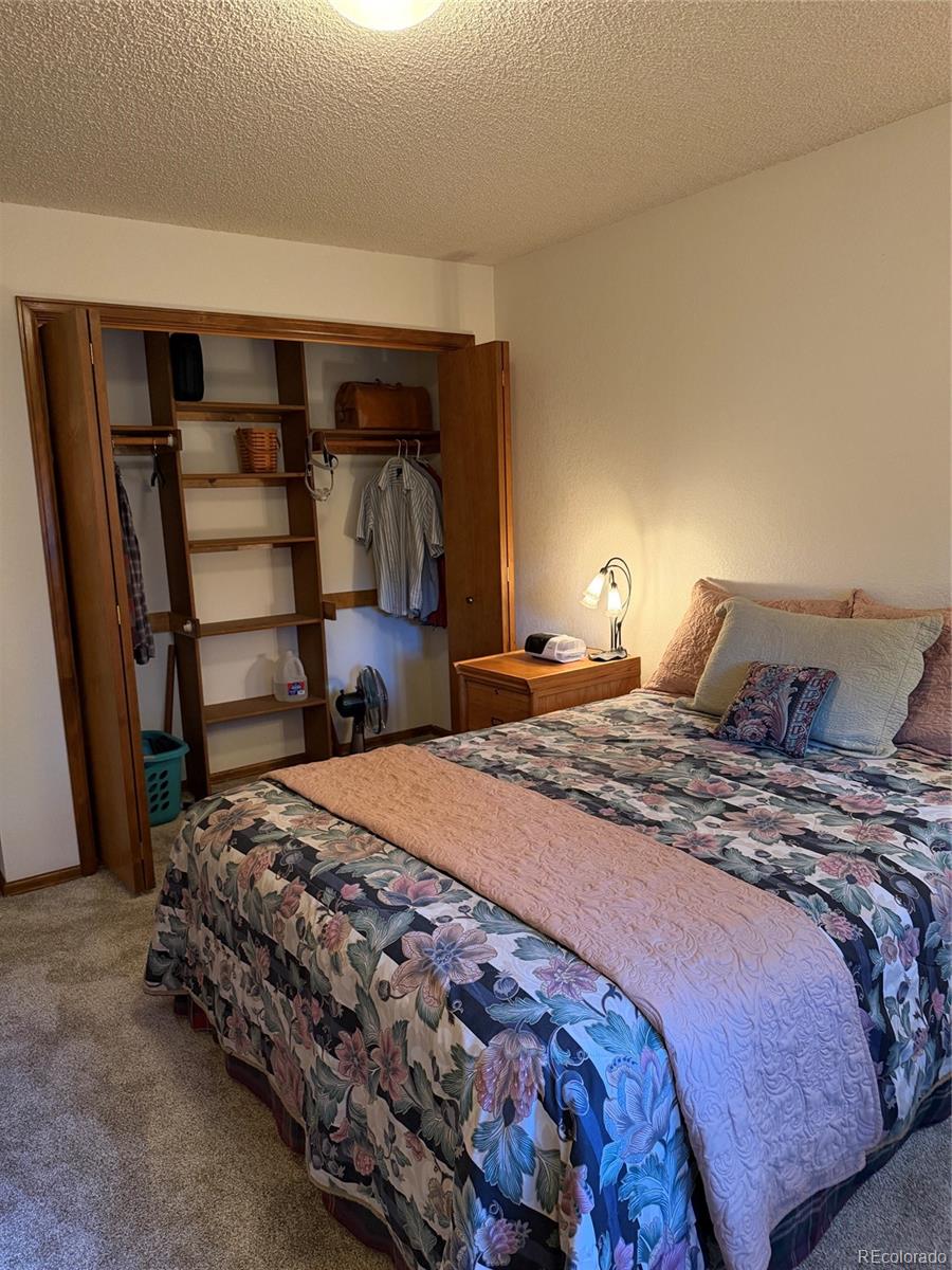 MLS Image #24 for 17730  grama ridge,colorado springs, Colorado