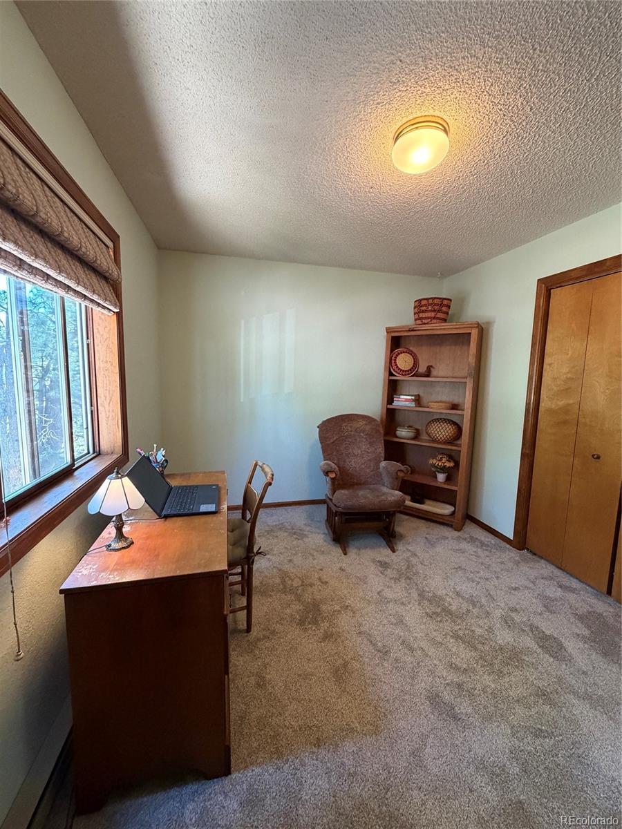MLS Image #26 for 17730  grama ridge,colorado springs, Colorado
