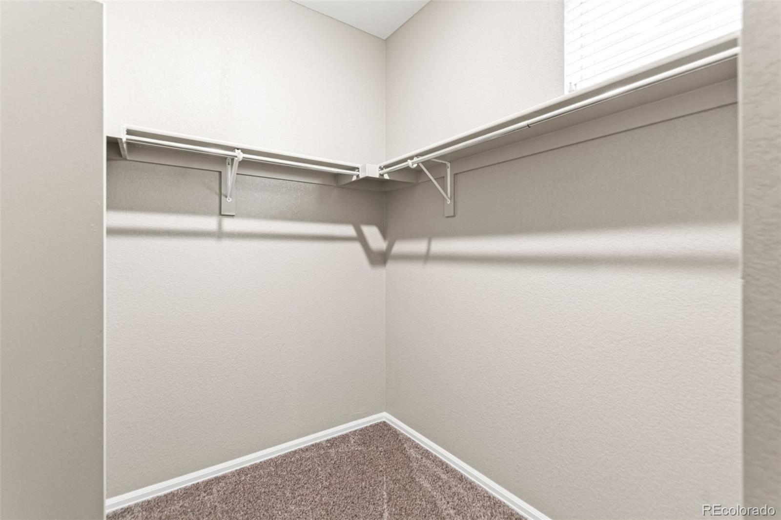 MLS Image #11 for 435  sage grouse circle,castle rock, Colorado
