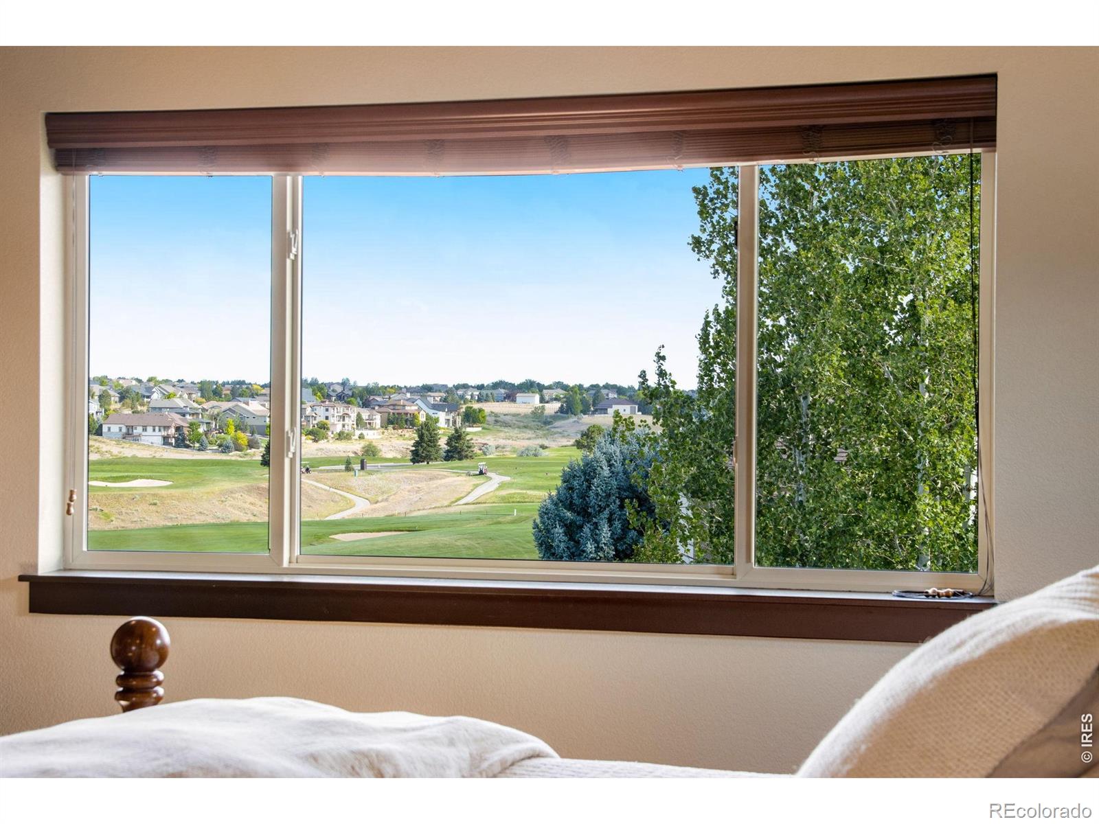 MLS Image #21 for 7373  spanish bay drive,windsor, Colorado