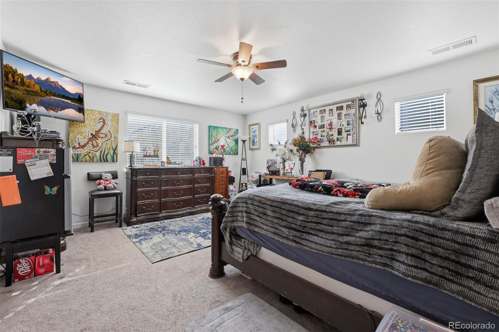 MLS Image #34 for 915  mcmurdo circle,castle rock, Colorado