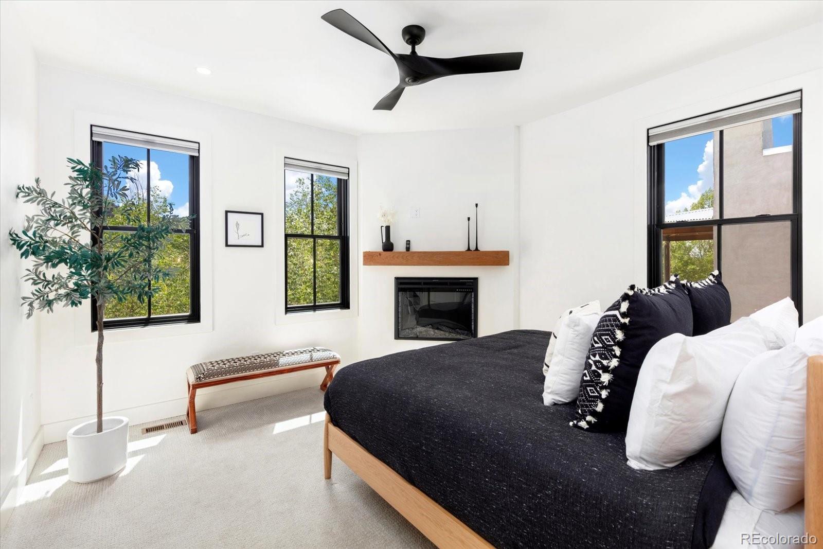 MLS Image #6 for 676  buzz boulevard,buena vista, Colorado