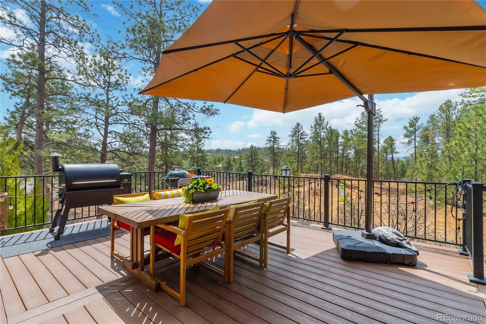 MLS Image #37 for 1600  knotty pine way,castle rock, Colorado