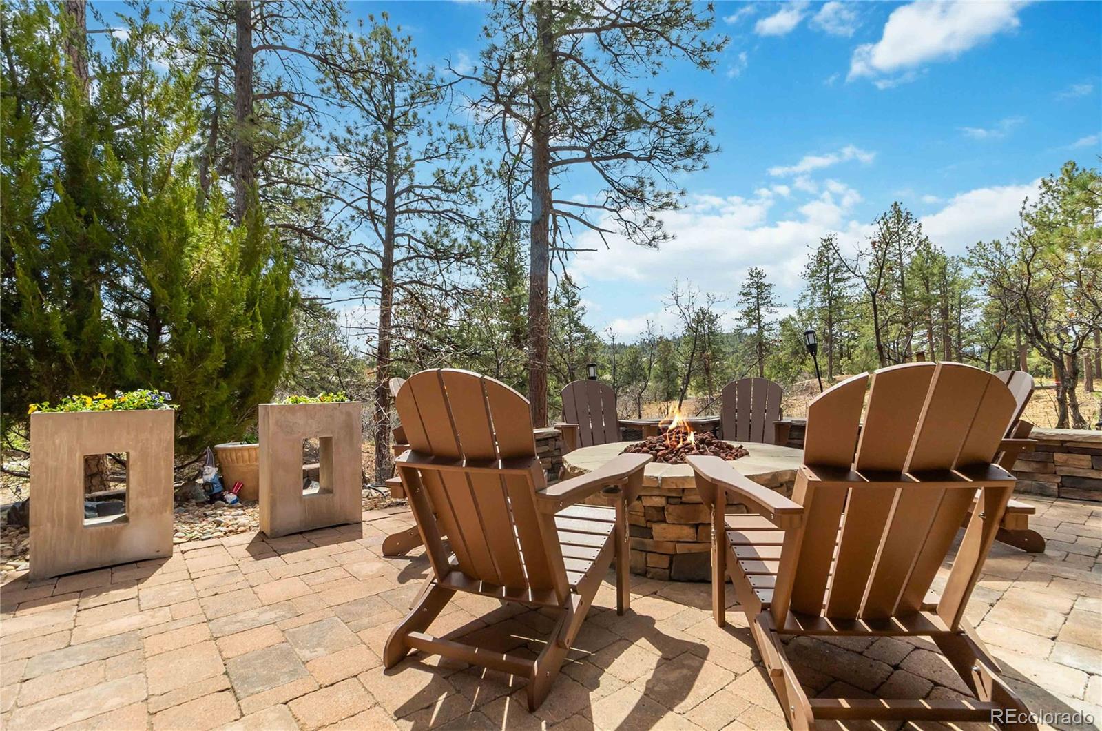 MLS Image #39 for 1600  knotty pine way,castle rock, Colorado