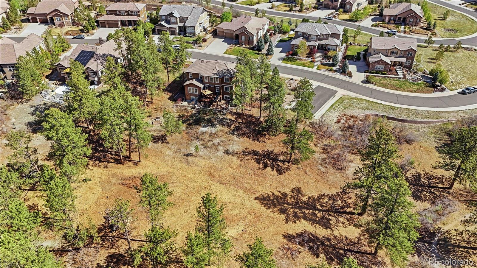 MLS Image #47 for 1600  knotty pine way,castle rock, Colorado