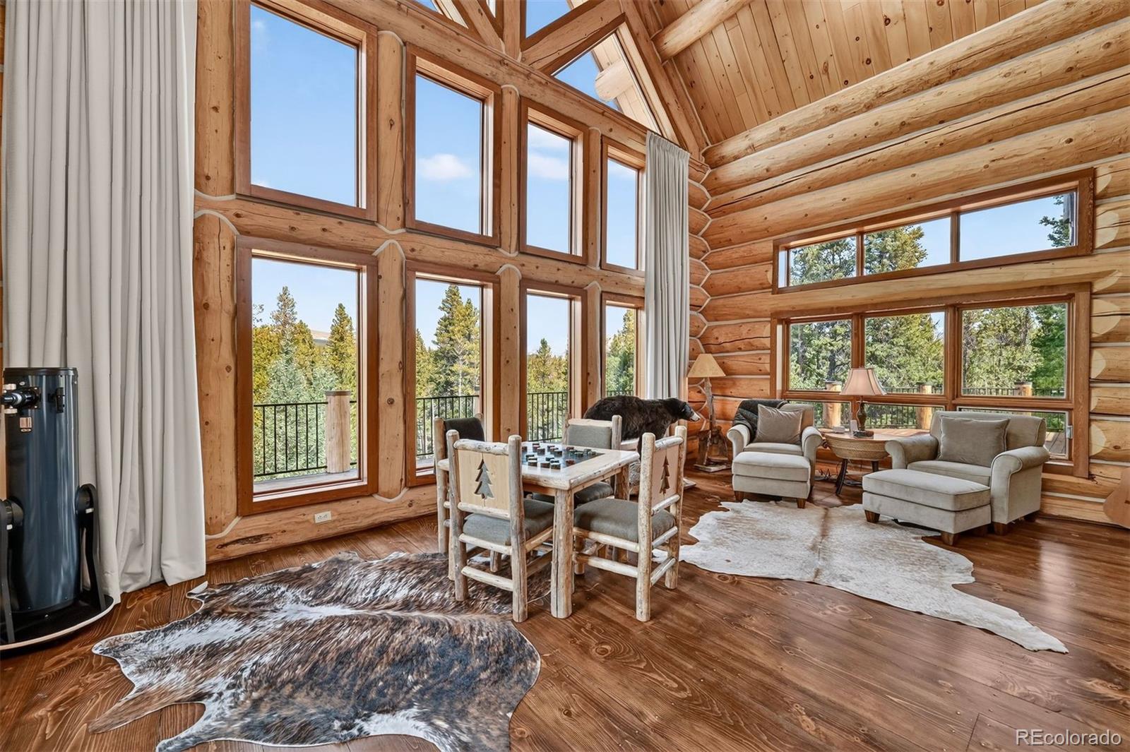 MLS Image #10 for 203  kens road,fairplay, Colorado