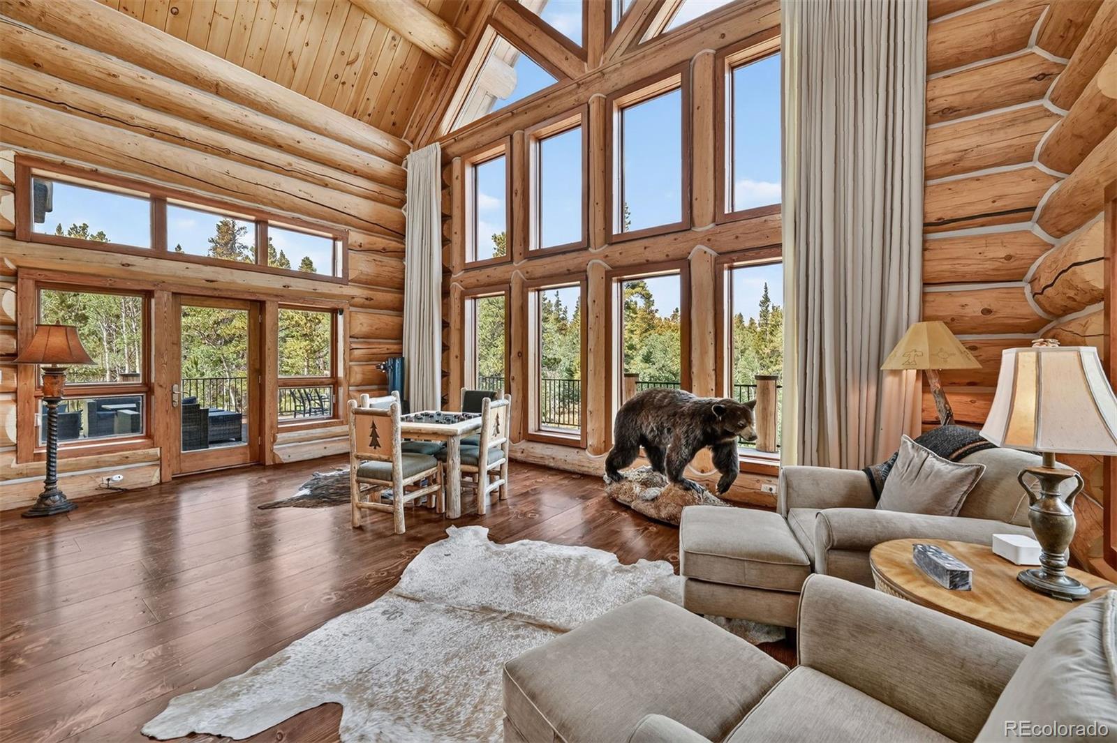 MLS Image #11 for 203  kens road,fairplay, Colorado