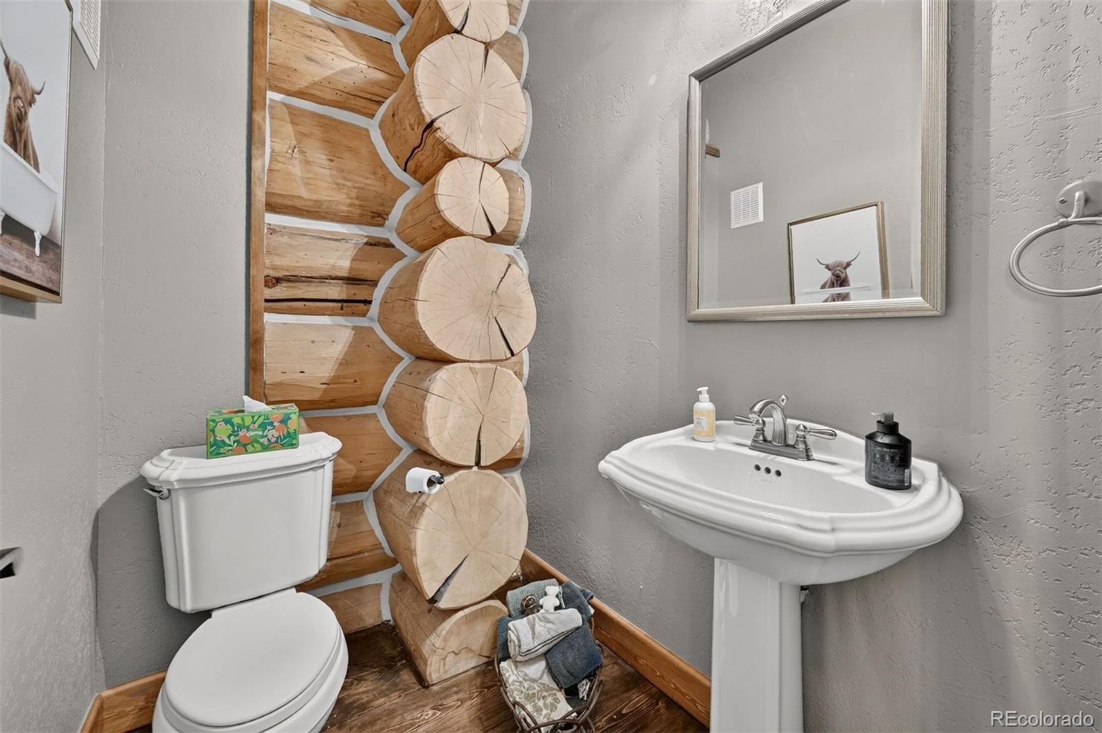 MLS Image #13 for 203  kens road,fairplay, Colorado