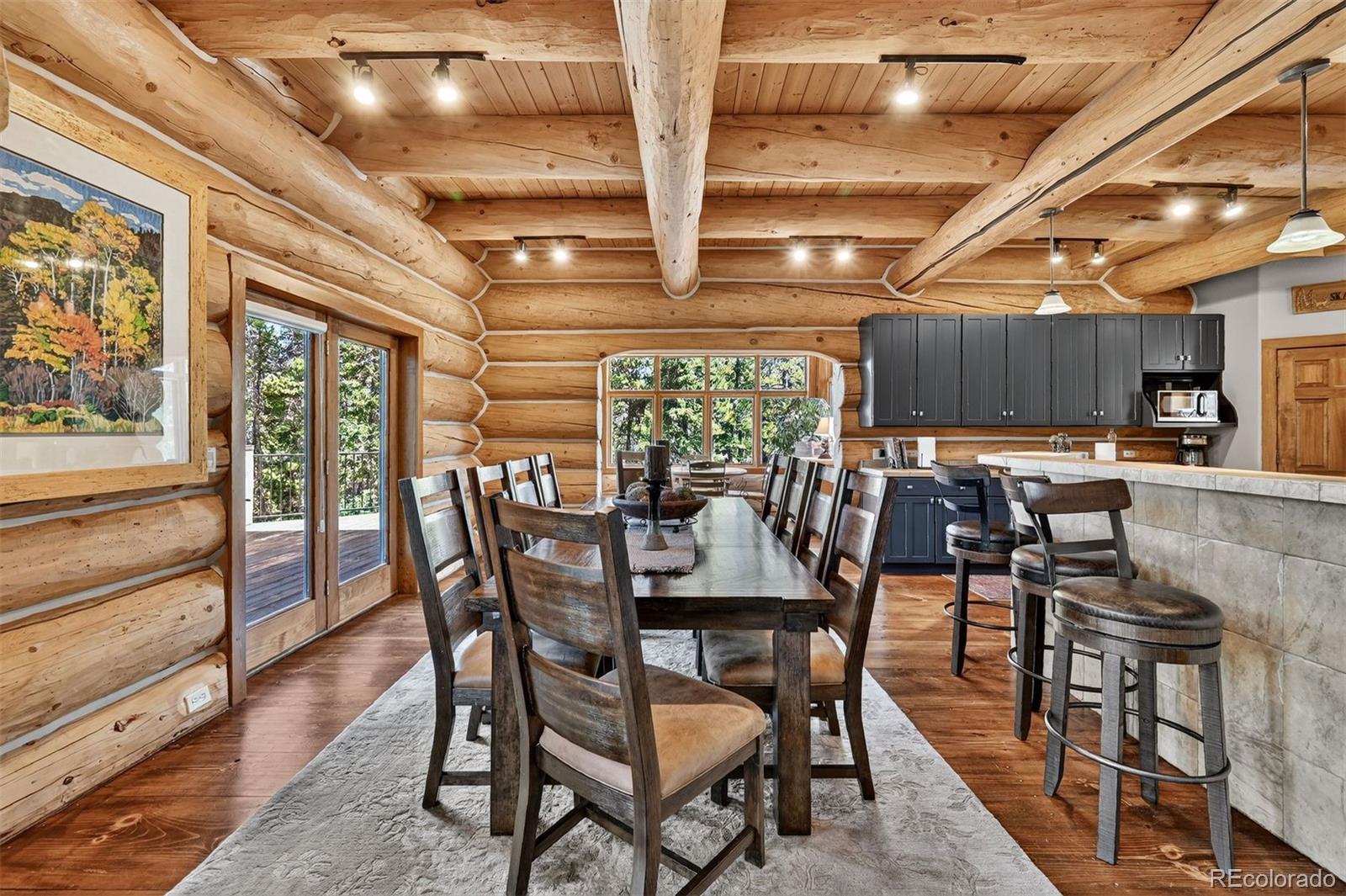 MLS Image #14 for 203  kens road,fairplay, Colorado