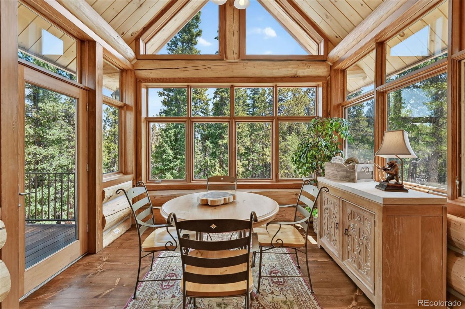 MLS Image #16 for 203  kens road,fairplay, Colorado