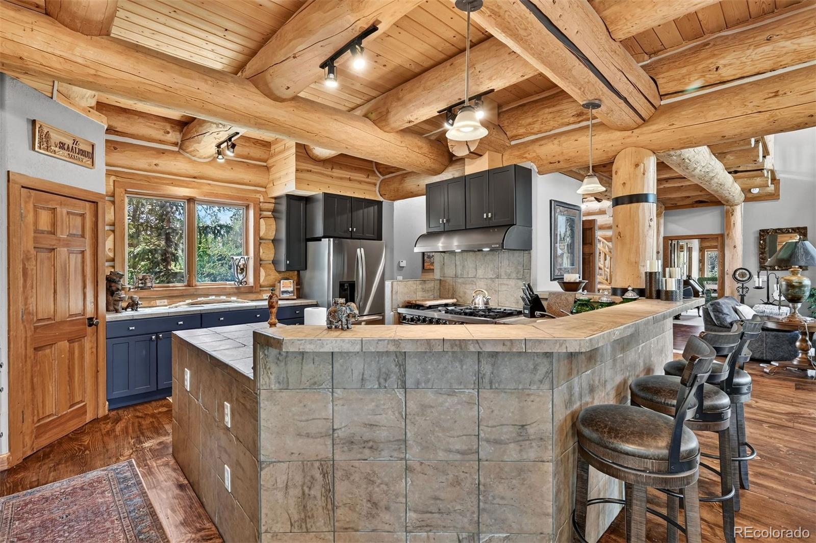 MLS Image #17 for 203  kens road,fairplay, Colorado