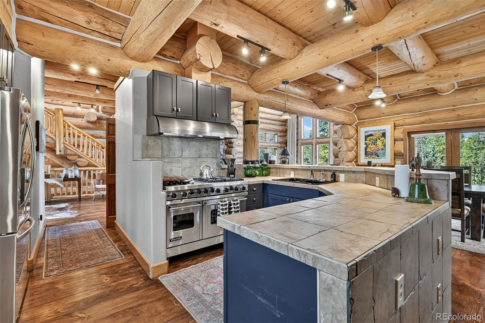 MLS Image #18 for 203  kens road,fairplay, Colorado