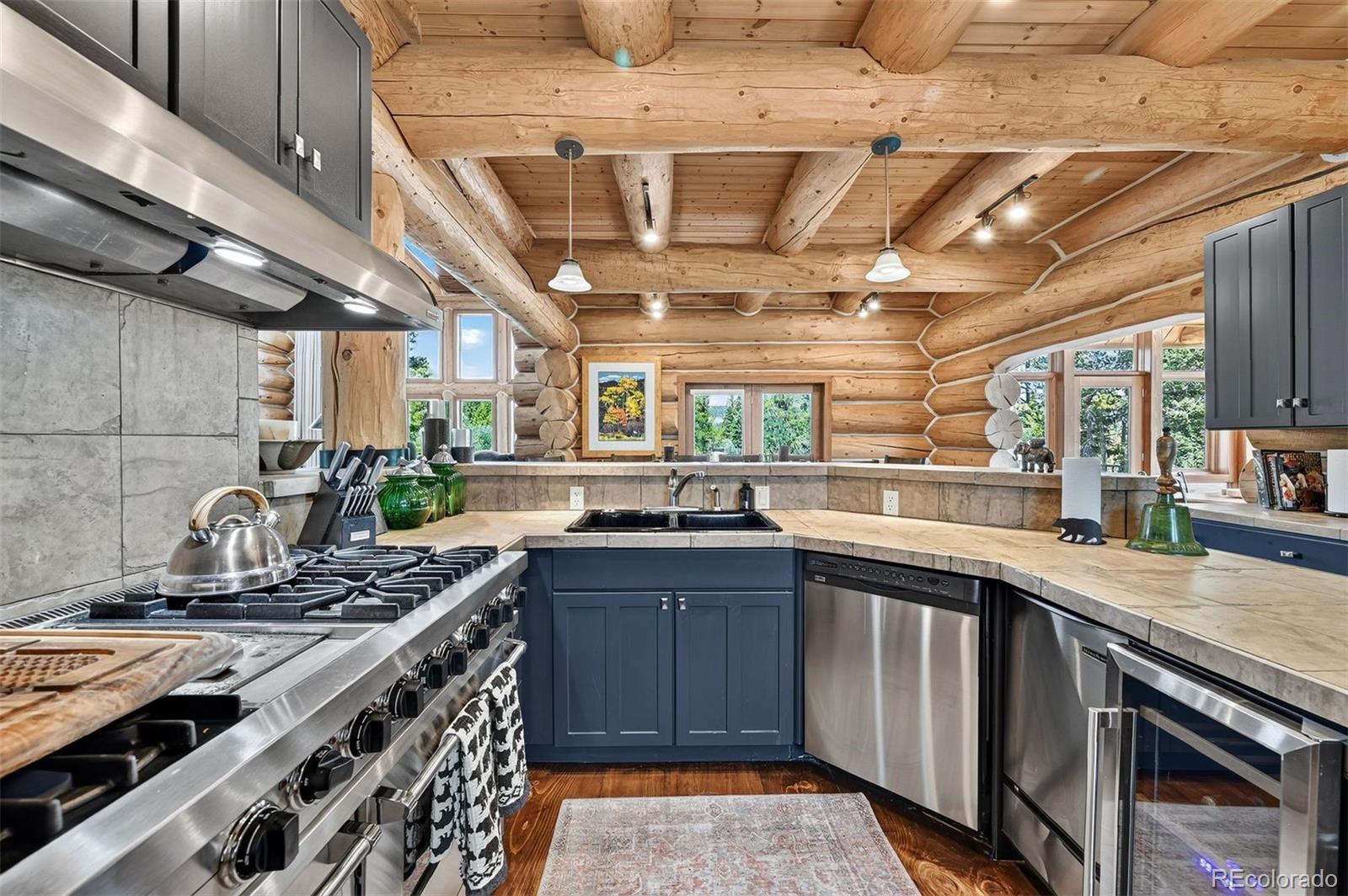 MLS Image #19 for 203  kens road,fairplay, Colorado