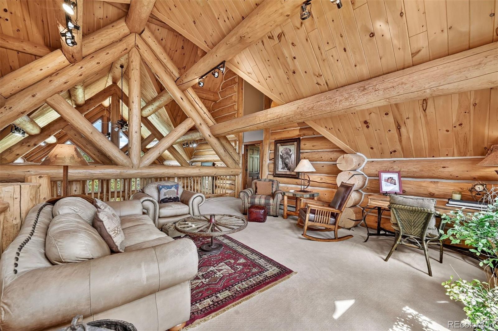 MLS Image #24 for 203  kens road,fairplay, Colorado