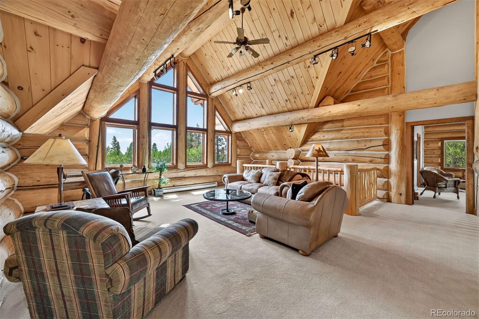 MLS Image #25 for 203  kens road,fairplay, Colorado