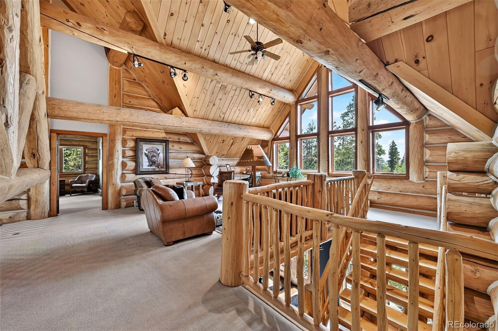 MLS Image #26 for 203  kens road,fairplay, Colorado