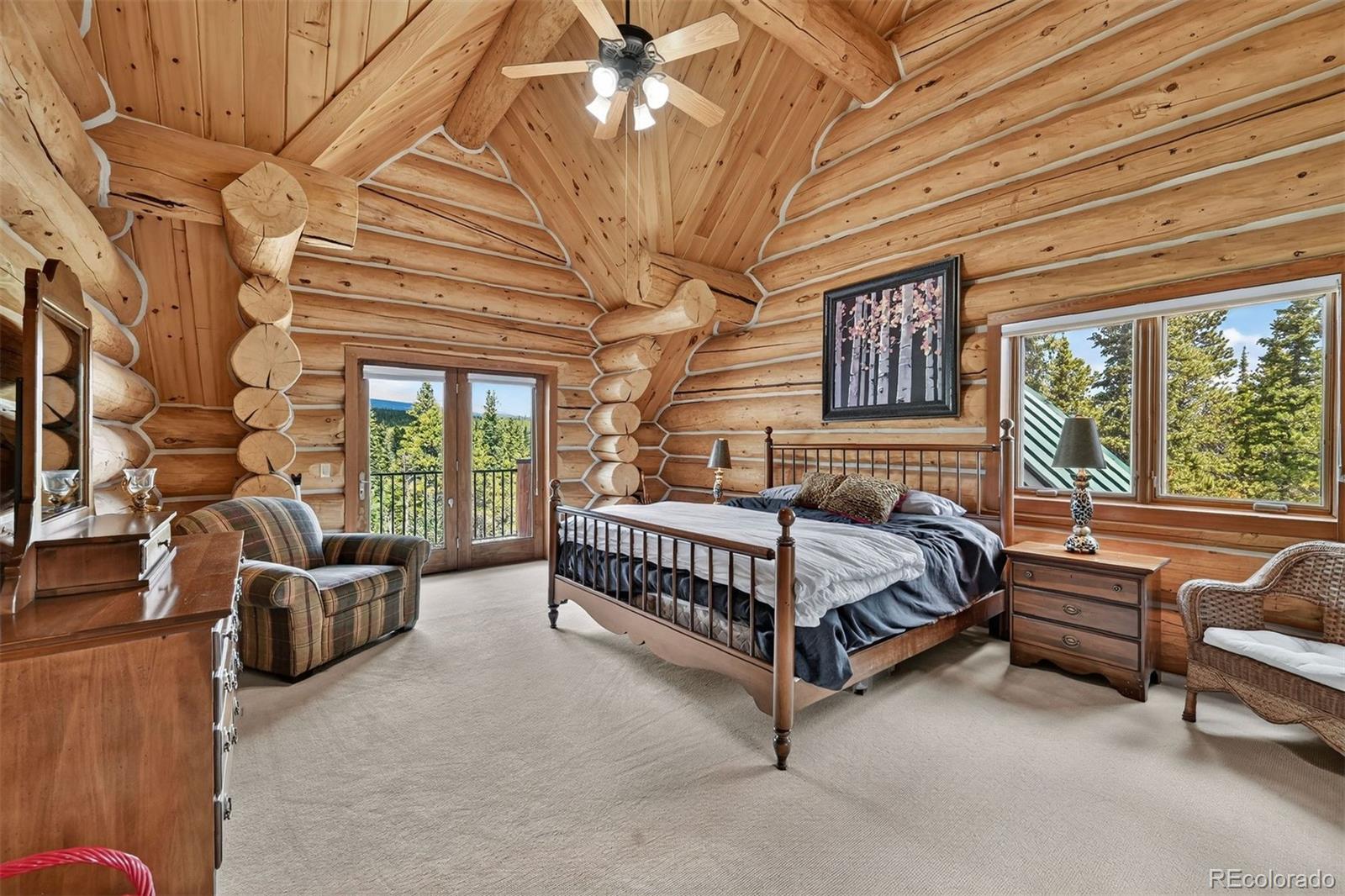 MLS Image #27 for 203  kens road,fairplay, Colorado