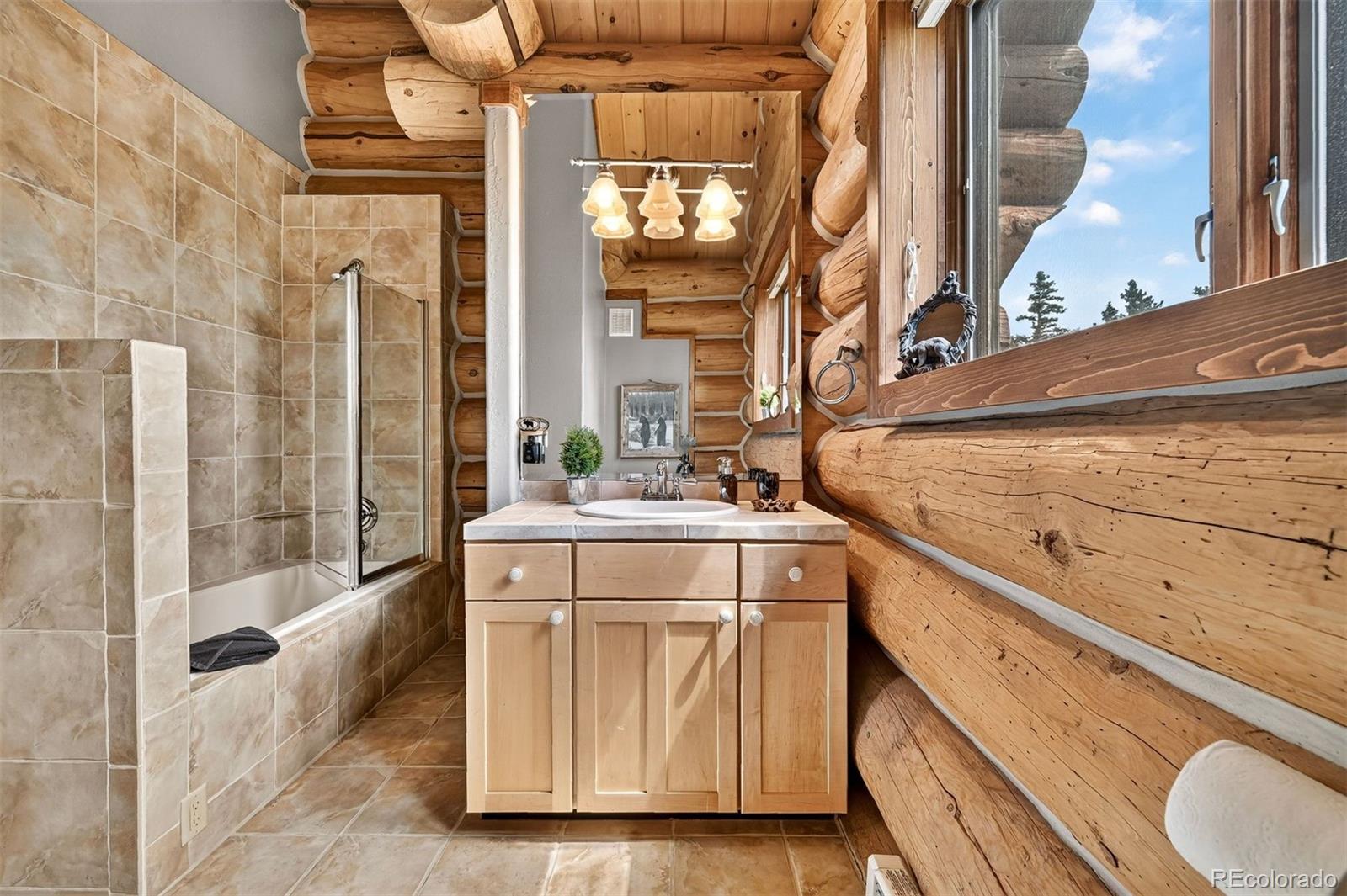MLS Image #28 for 203  kens road,fairplay, Colorado