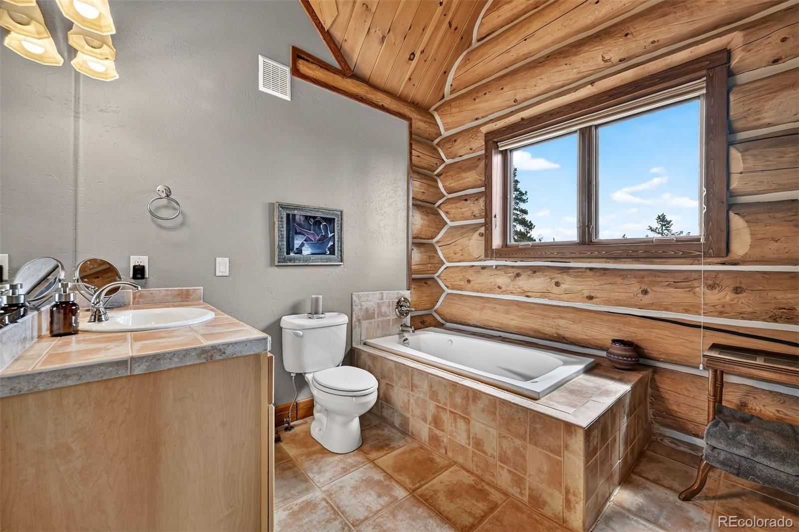 MLS Image #30 for 203  kens road,fairplay, Colorado