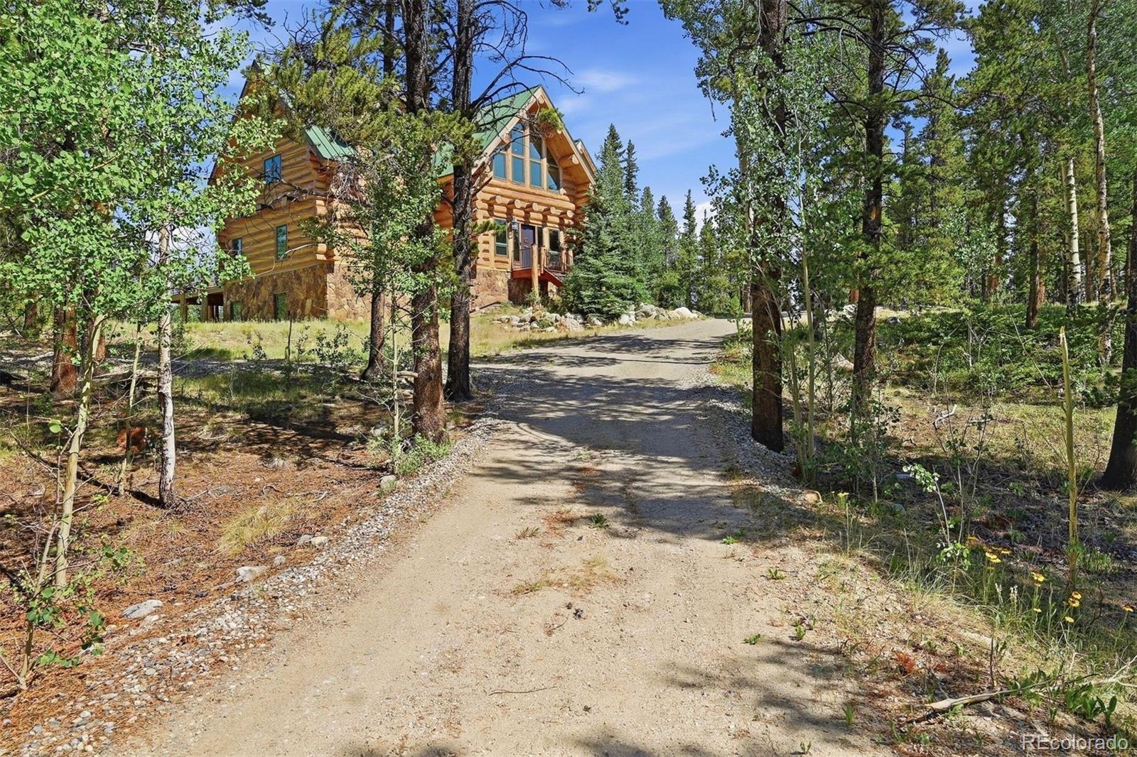 MLS Image #41 for 203  kens road,fairplay, Colorado