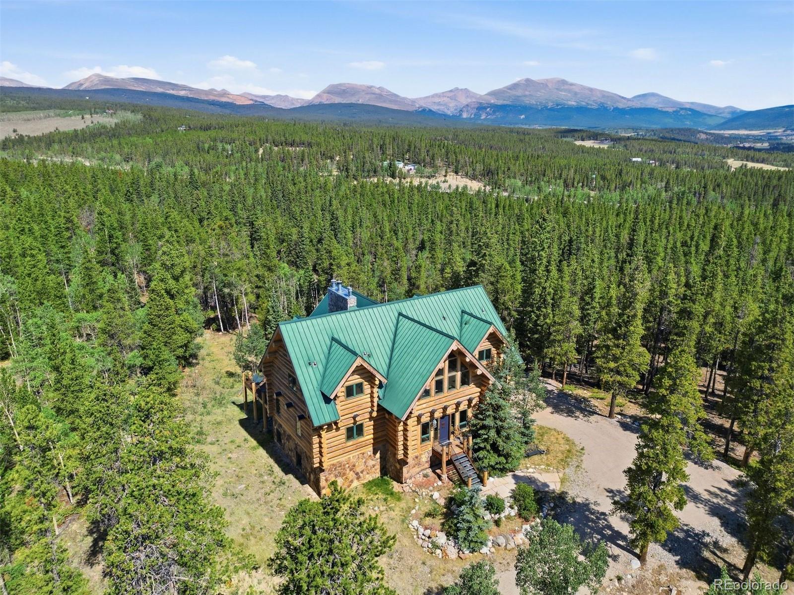 MLS Image #6 for 203  kens road,fairplay, Colorado