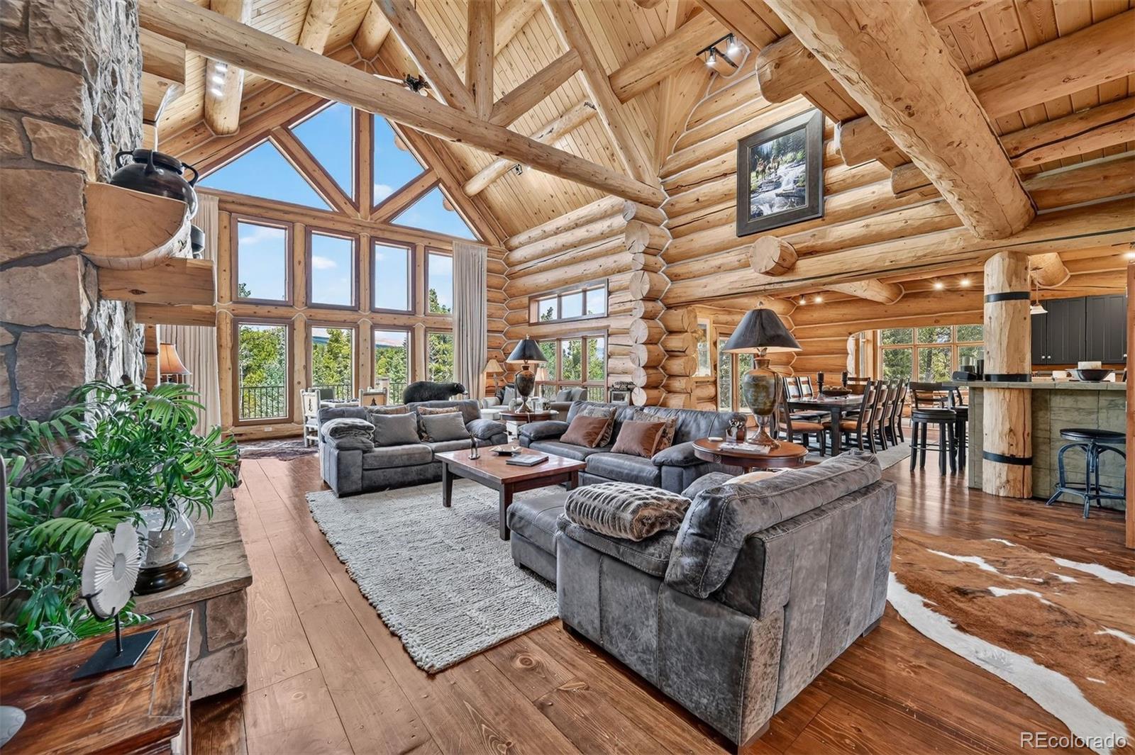 MLS Image #9 for 203  kens road,fairplay, Colorado