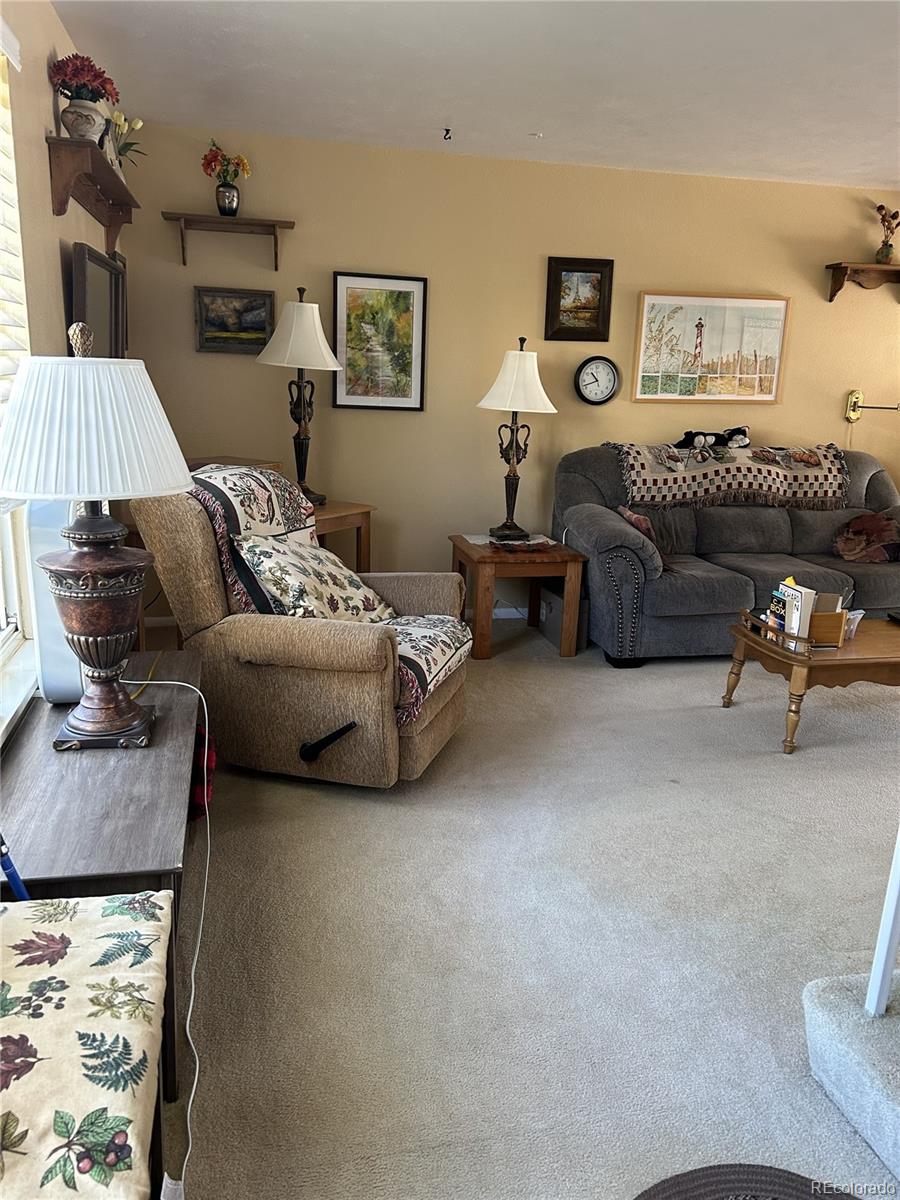 MLS Image #3 for 7422 s zephyr court,littleton, Colorado